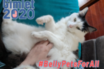 Gimlet 2020 - Belly Pets for All