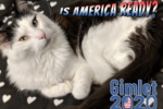 Gimlet2020 - Is America Ready