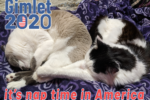 Gimlet 2020 - Nap Time in America