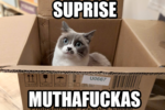 Gimlet2020 - Surprise Muthafuckas